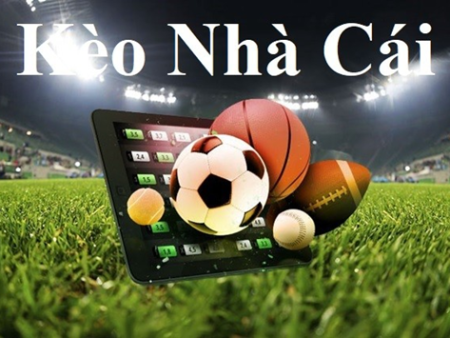 Khám Phá Thế Giới Giải Trí Tại BK8